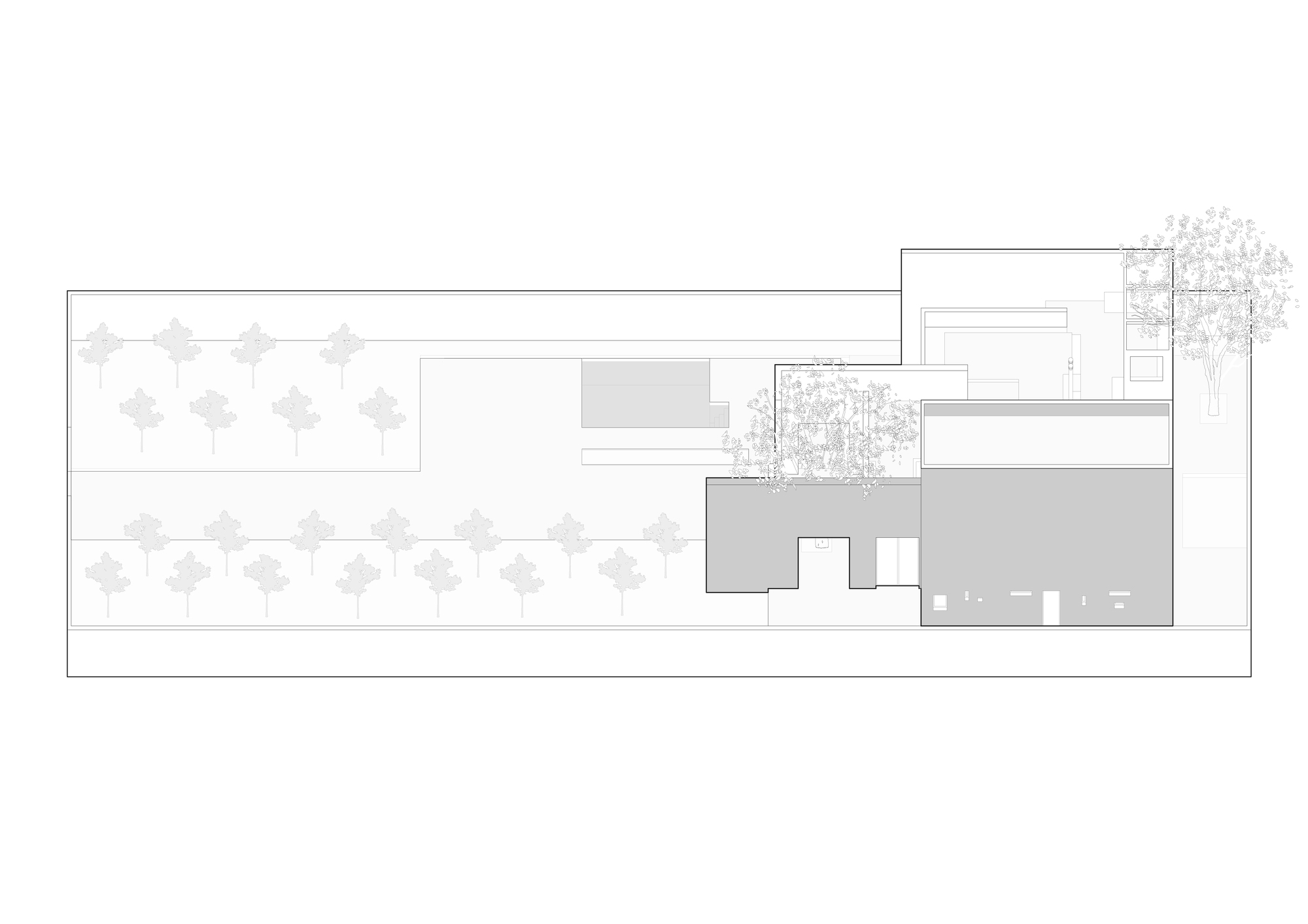 一所位于两个胡桃之间的房子丨伊朗丨KAV Architects-46