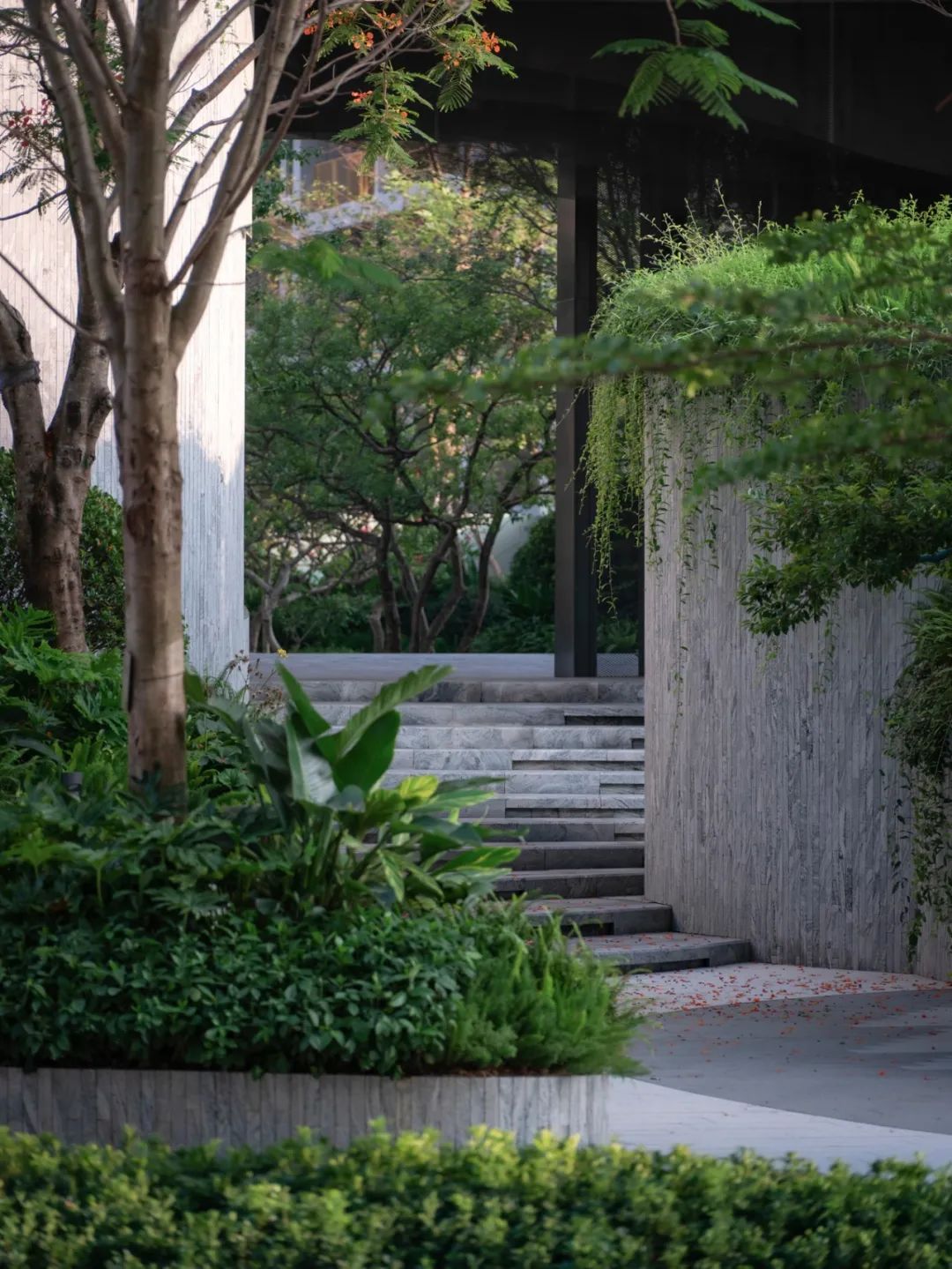 仁恒深圳公园世纪三期丨中国深圳丨TROP景观事务所-25