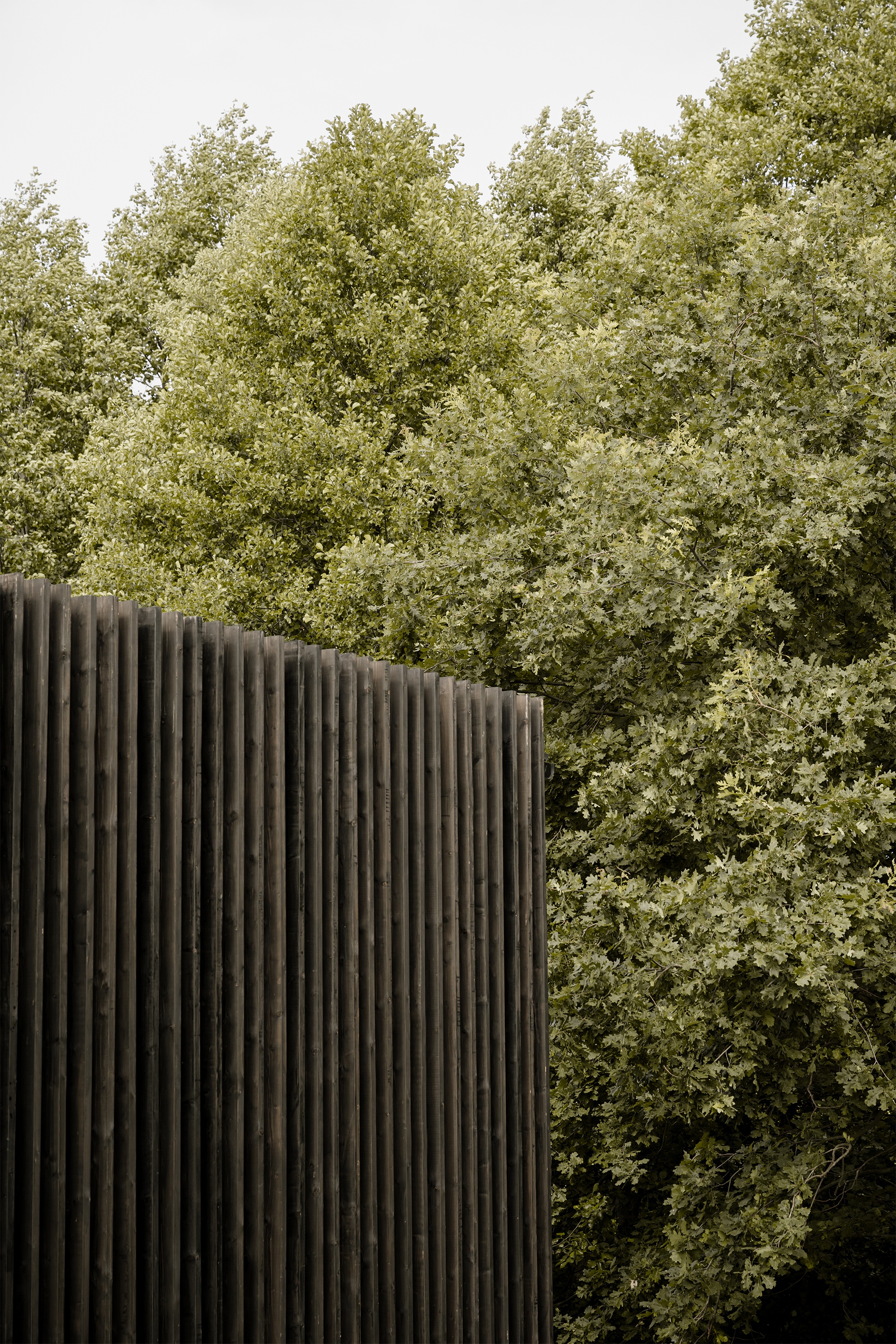 波兰DKR住宅丨BXB Studio-2