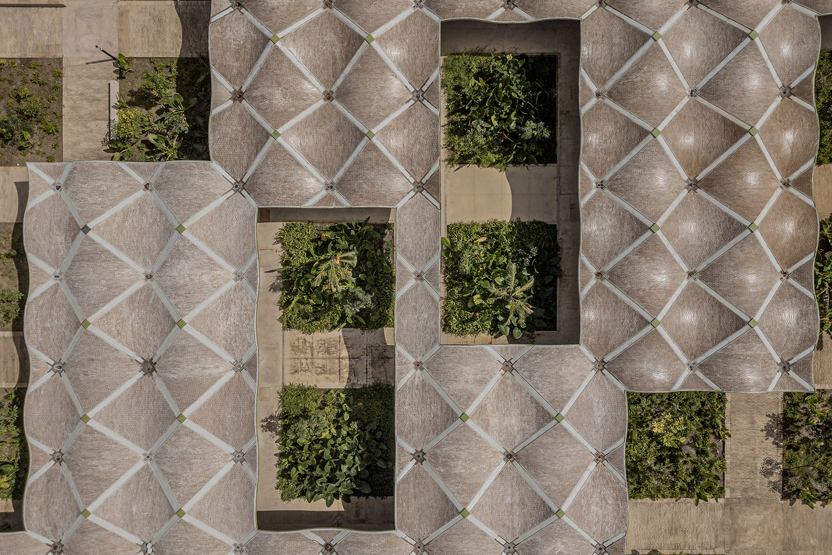 Mercado手工艺品集市,墨西哥 / AIDIA STUDIO-74