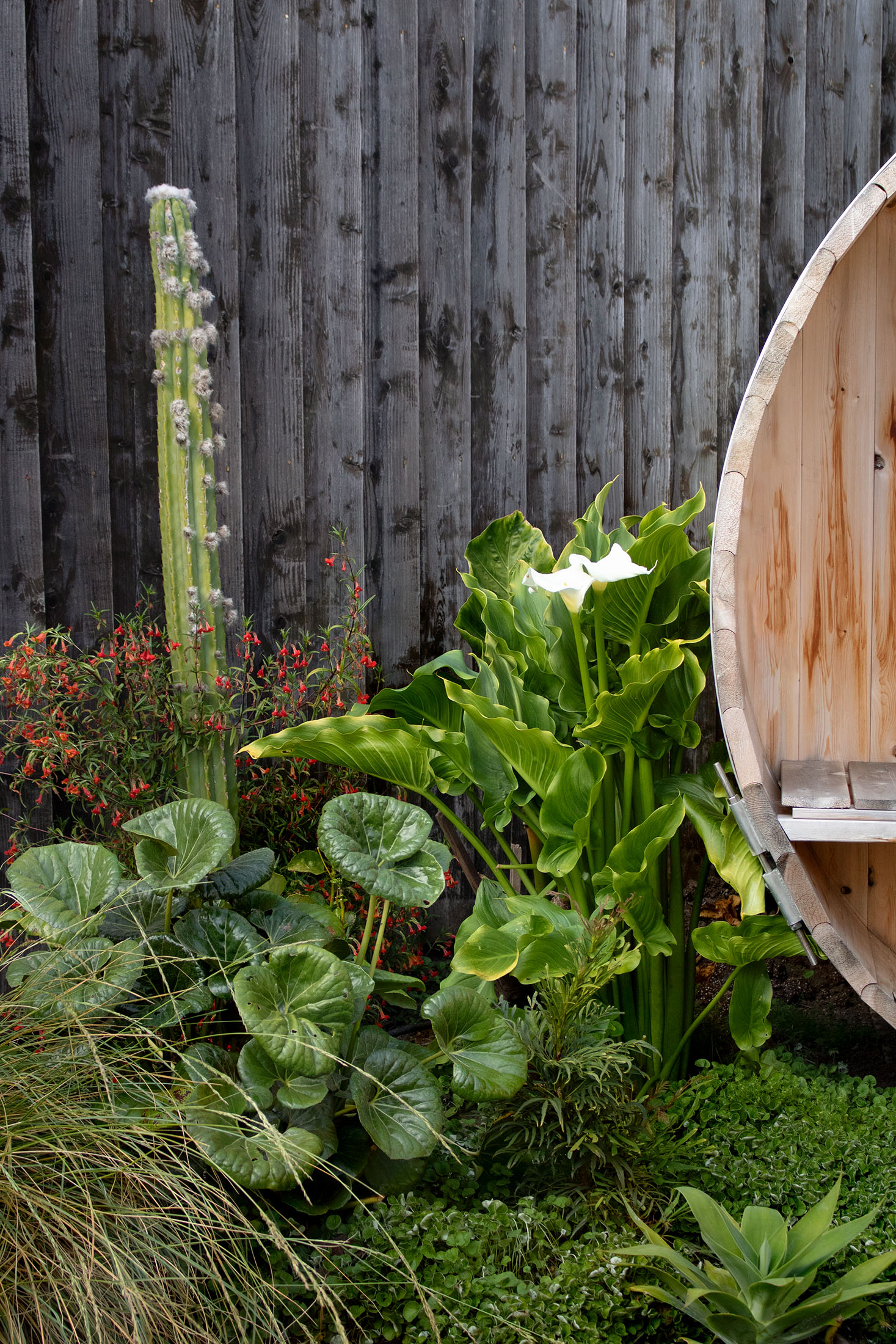 身边风景 | Soft Studio-55