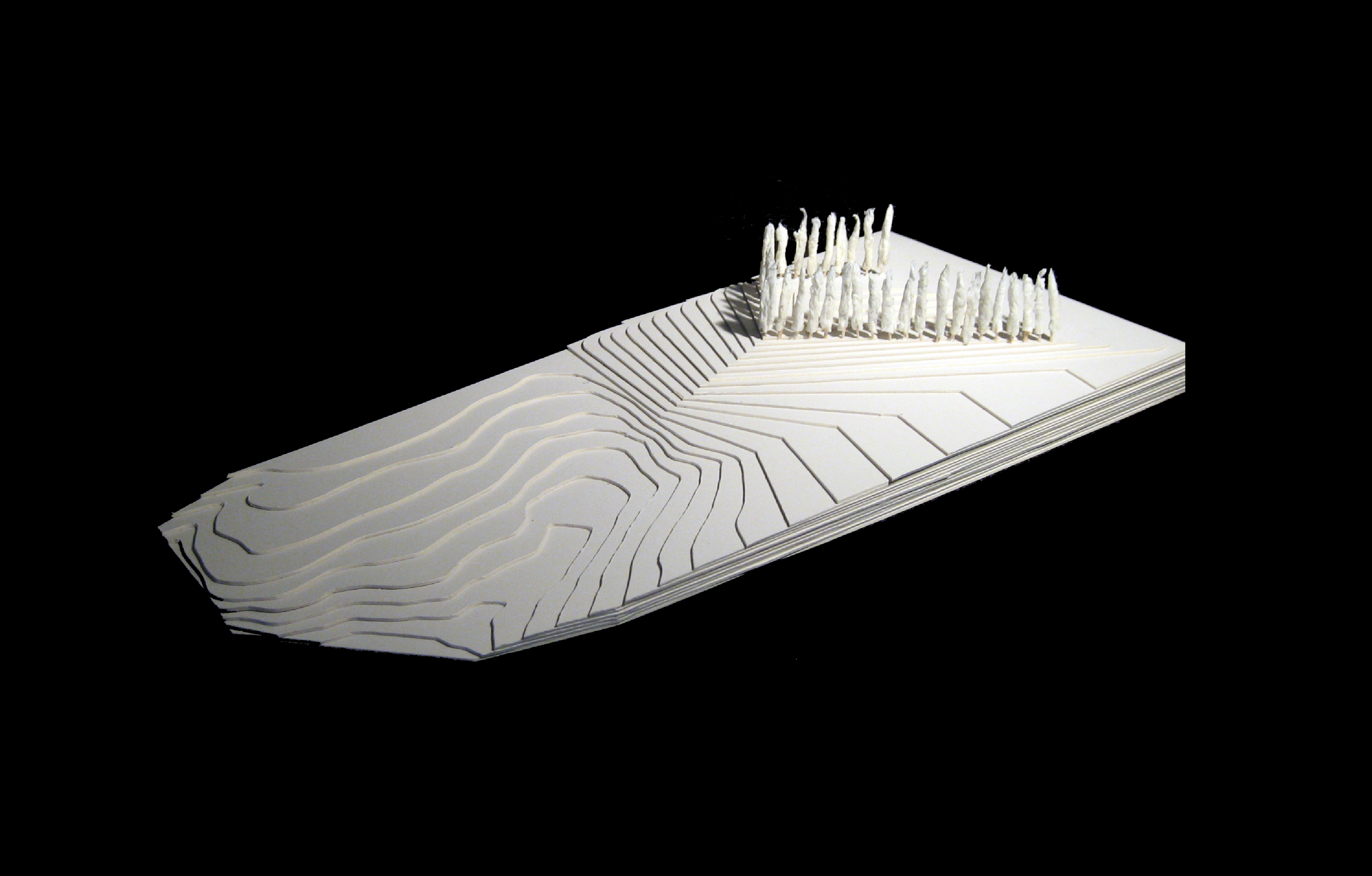 contrabands freedmen cemetery memorial competition-0