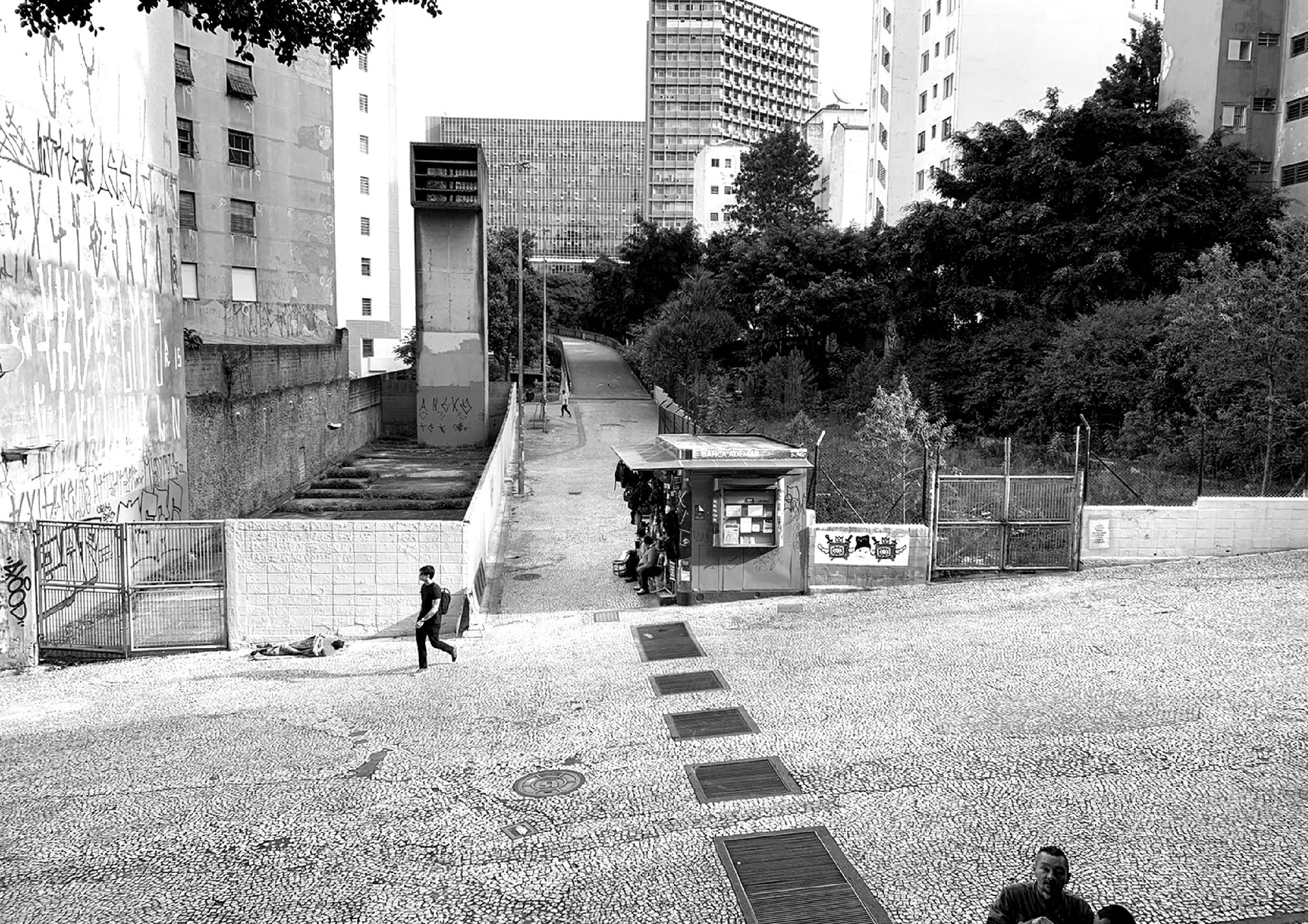 城市生物群丨巴西圣保罗-20