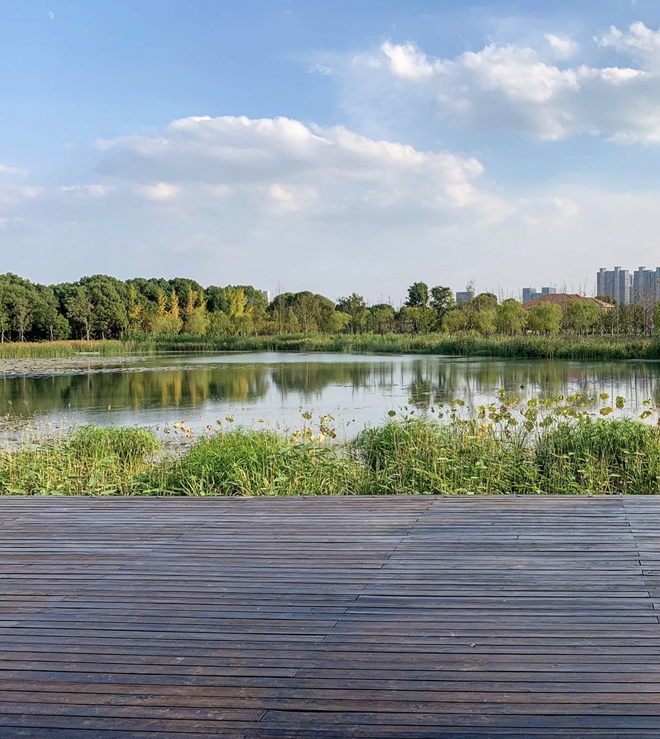 昆山市城市生态森林西入口丨中国鞍山丨PLAT Studio-67