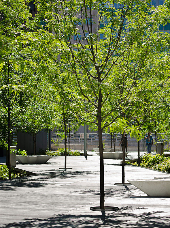 魁北克水文公园-12