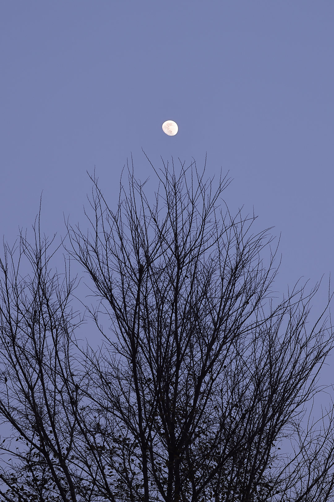 极简别墅 · 自然与空间的完美融合丨中国武汉丨广州大象未来文化有限公司-0
