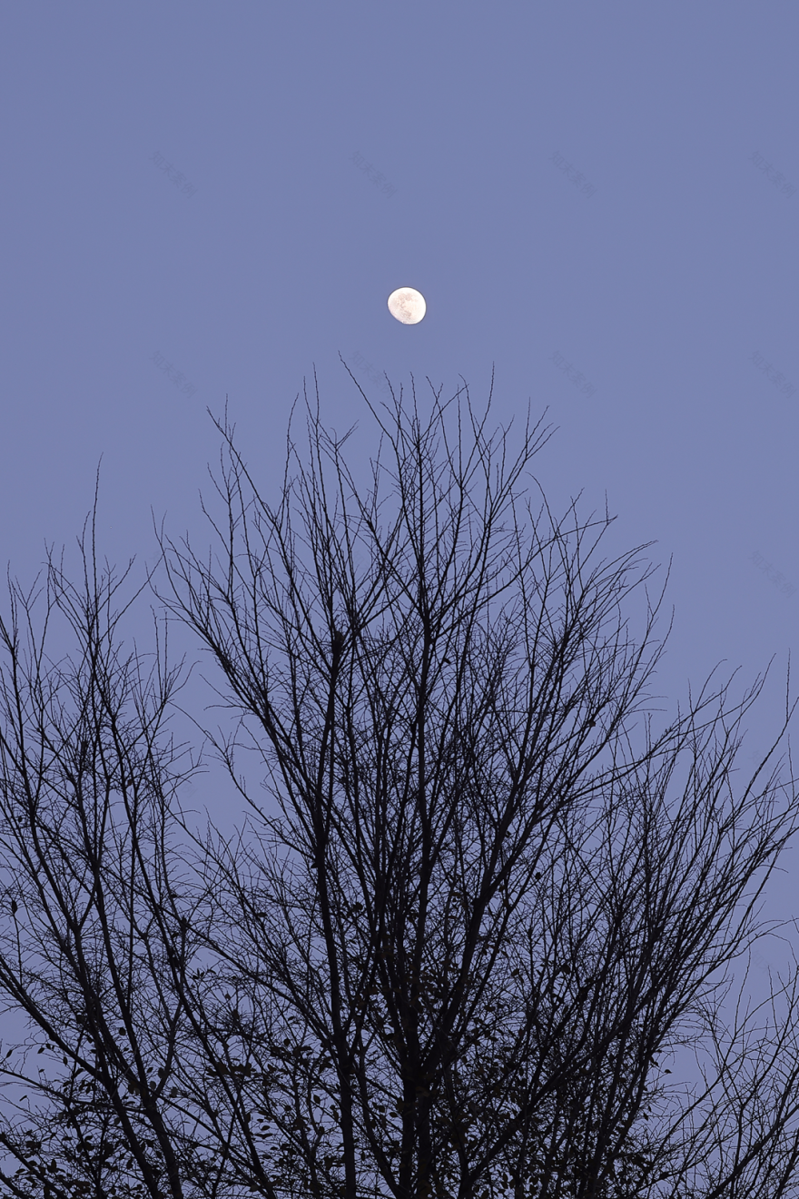 极简别墅 · 自然与空间的完美融合丨中国武汉丨广州大象未来文化有限公司-0