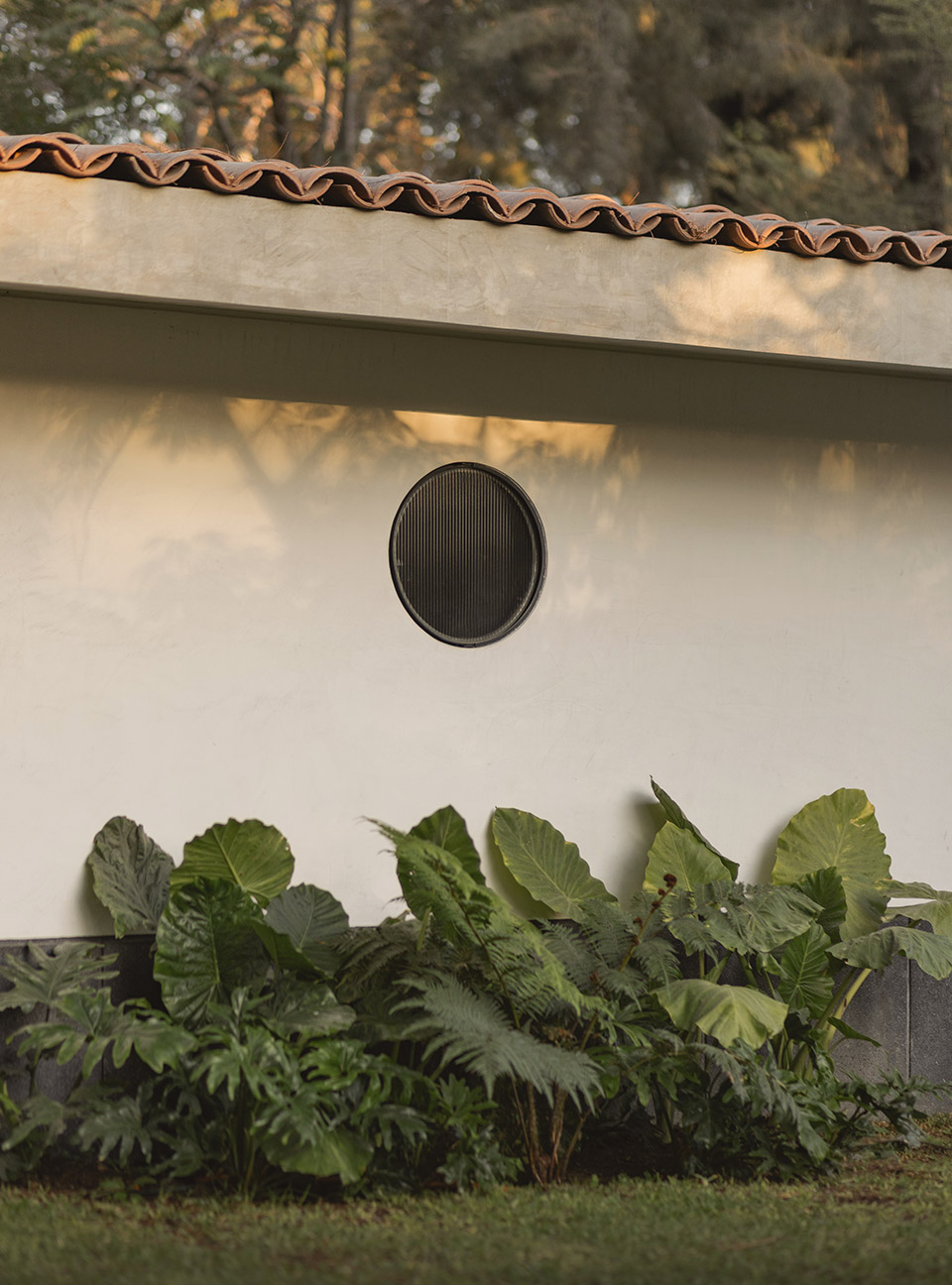 Malvas 59住宅丨墨西哥丨Estudio Radillo Alba-32