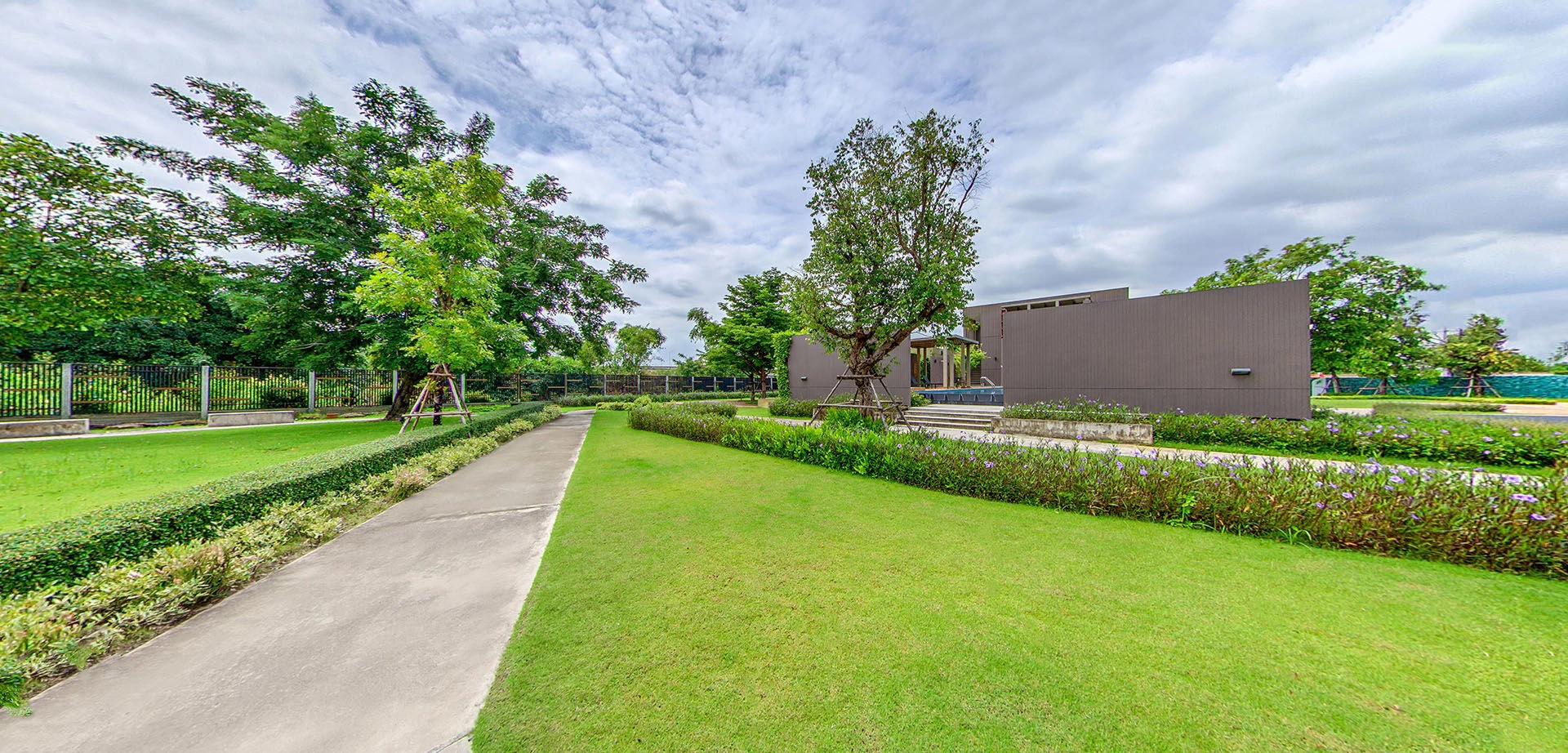 普拉萨房地产公司的喜悦@场景-26