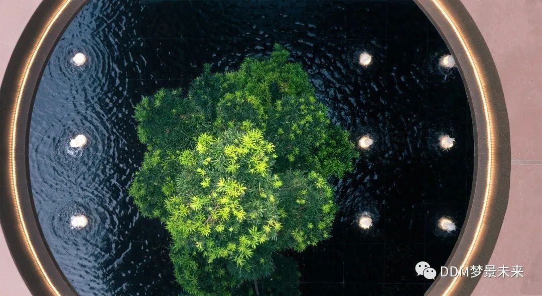 温江云玺府丨中国成都丨梦景未来DDM-14