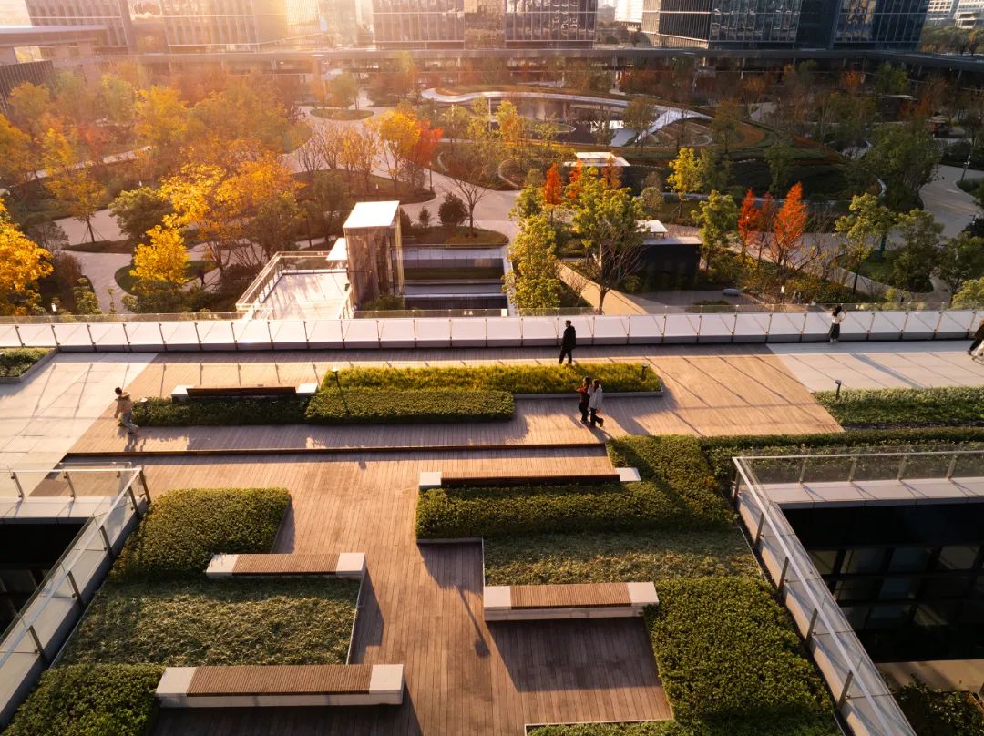 阿里巴巴西溪全球总部园区（C区）丨中国杭州丨ASPECT Studios-3