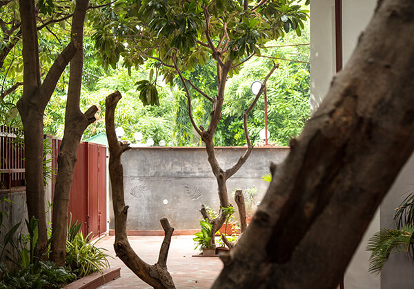 House With 49 Trees RENESA-14