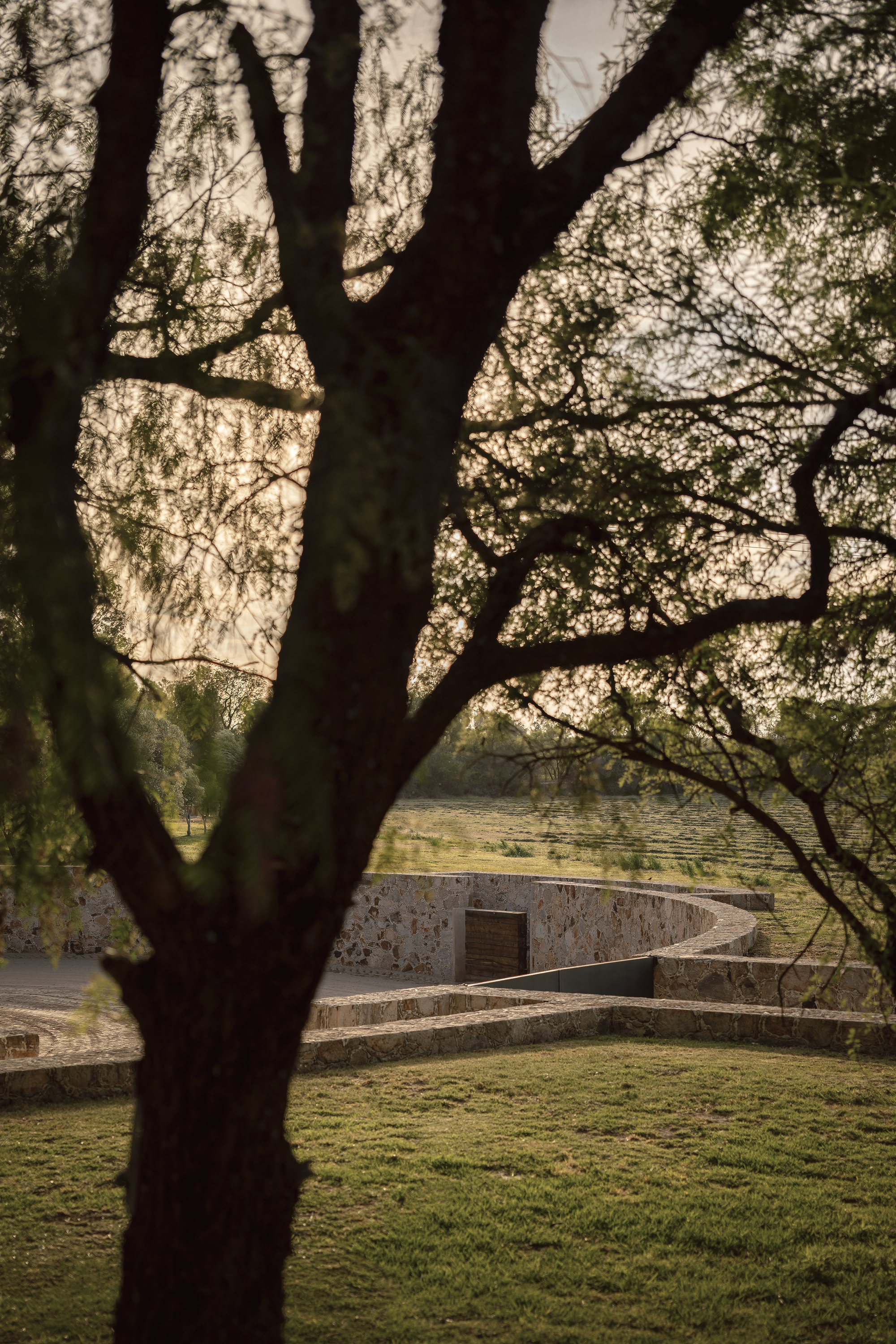 桑蒂利亚农场，宇宙（注：Cosmos常见含义为宇宙 ，但可能结合特定语境有其他更合适的表意，若这里Cosmos为特定名称，因缺乏更多信息，难保证是最精准表意） 丨墨西哥-30