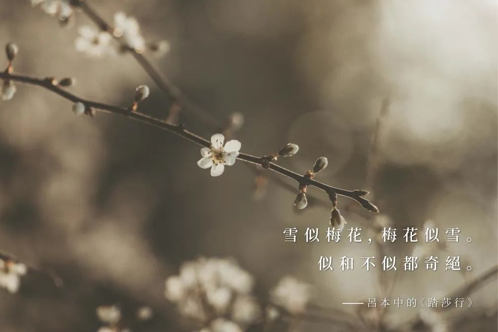 合肥萬科觀山隱秀社區體驗中心丨中国合肥丨矩陣上海設計中心-18