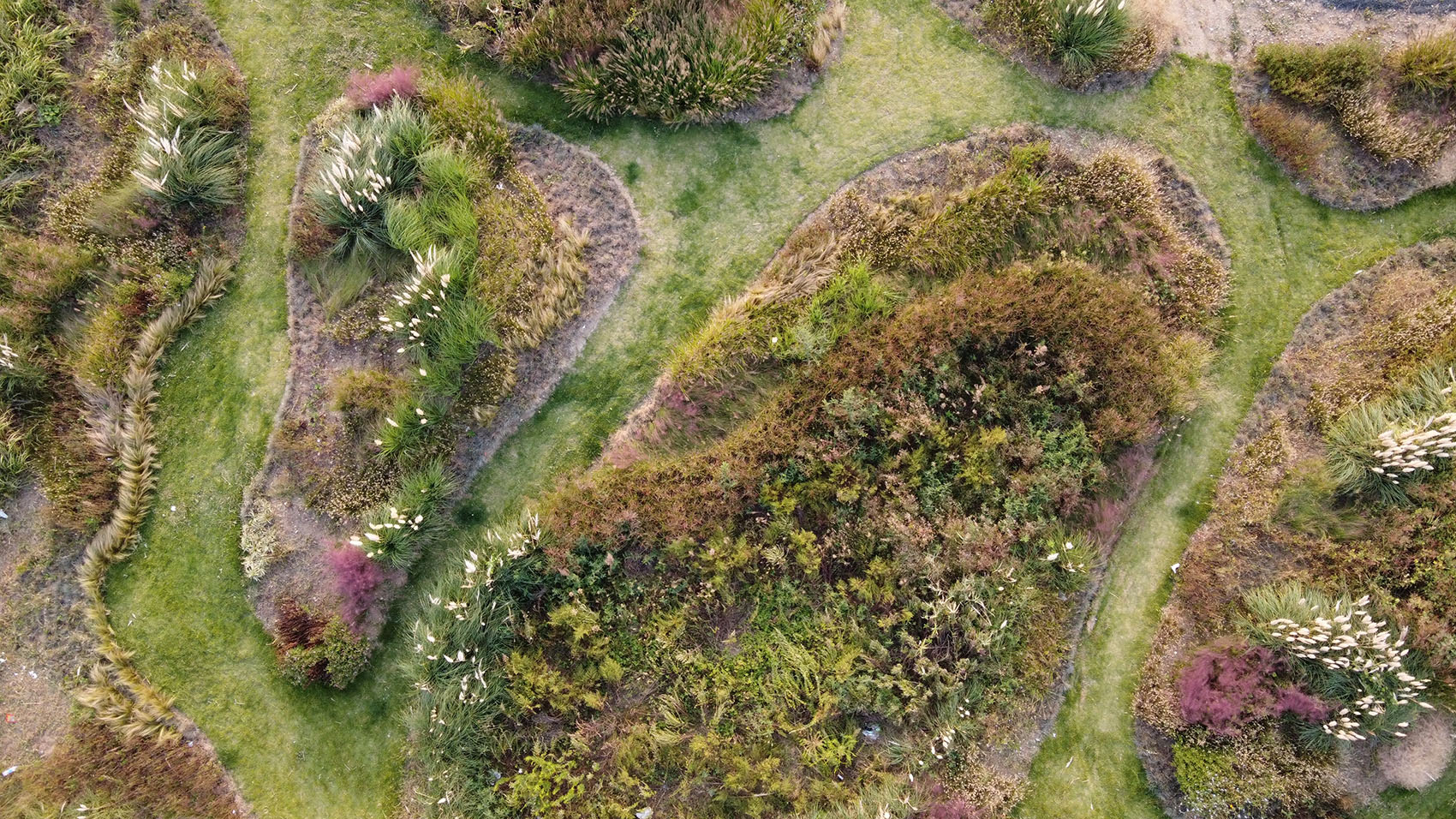 多岛海野草公园丨中国日照丨孔祥伟工作室-76