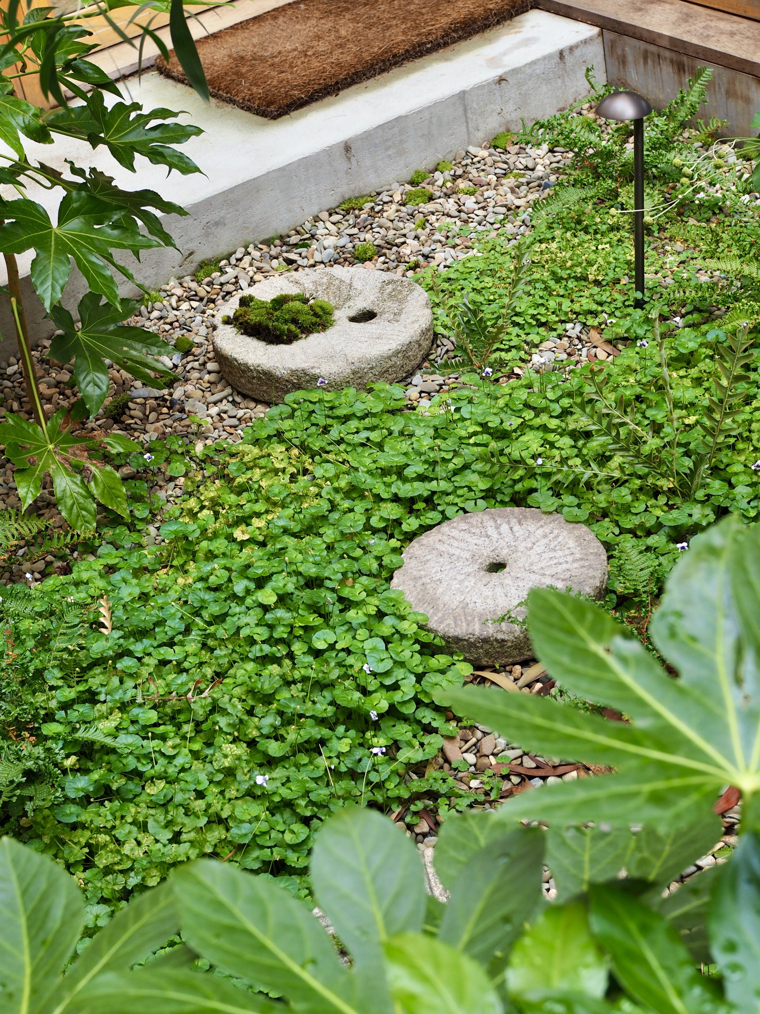 丨MODO（建筑设计）,Straw Brothers（设计,园艺与摄影）-16