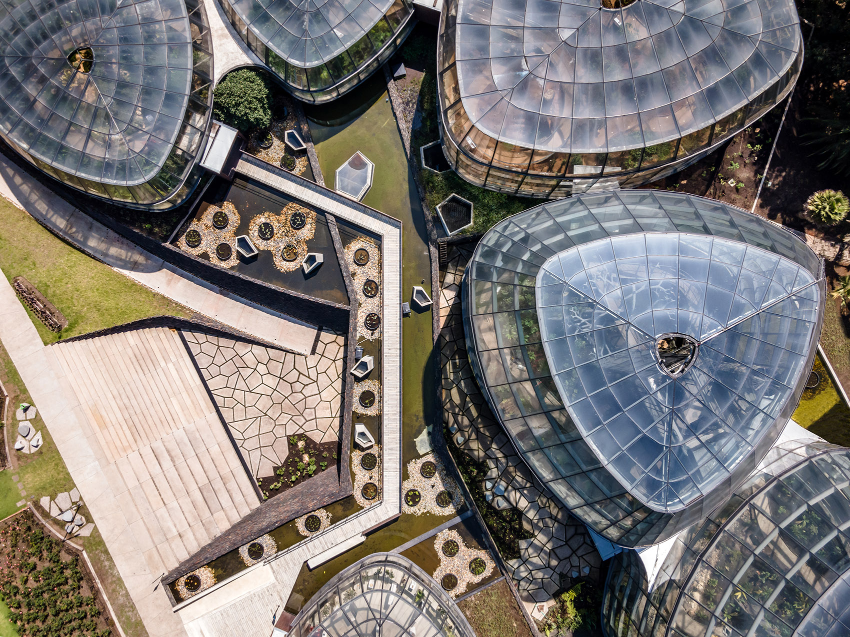 圣菲波哥大热带植物园丨哥伦比亚丨DARP-12