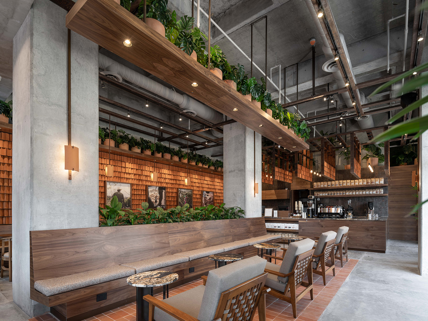 墨西哥 Kali 咖啡馆丨Concéntrico-13