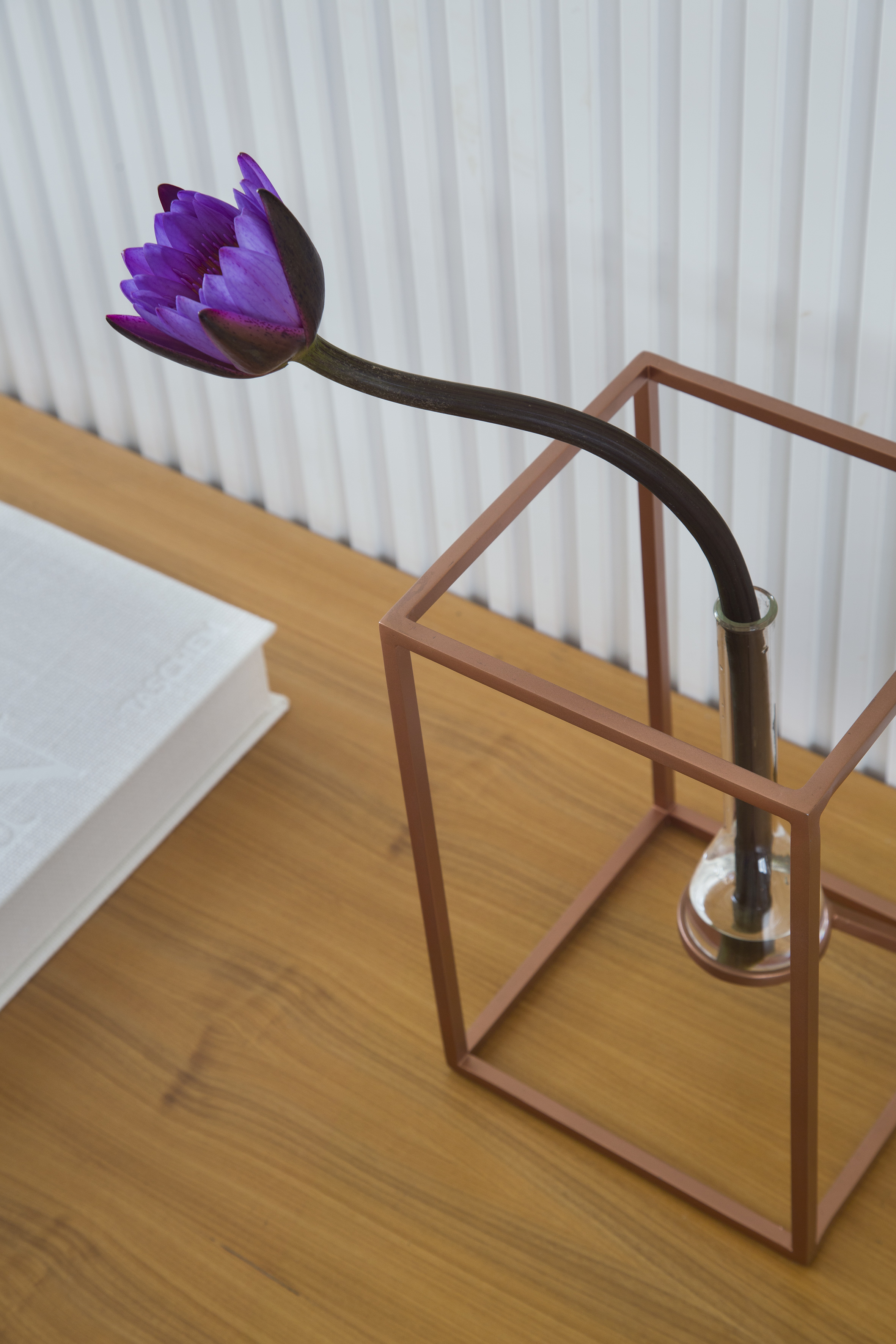 雷娜塔·莱莫斯-13