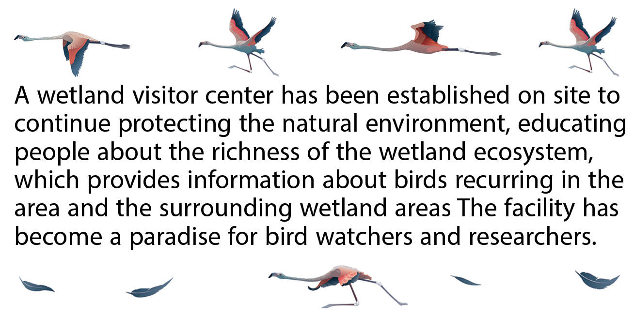 Wasit Natural Reserve Visitor Centre-1