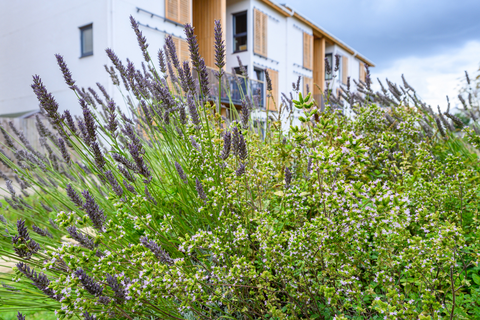 丨英国布里斯托尔-109