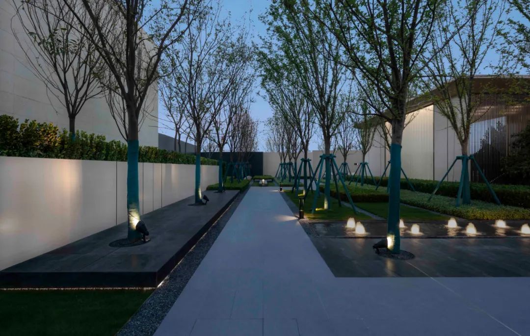 山东济宁金科集美澜湾 | 克制的序列,林泉入境-46