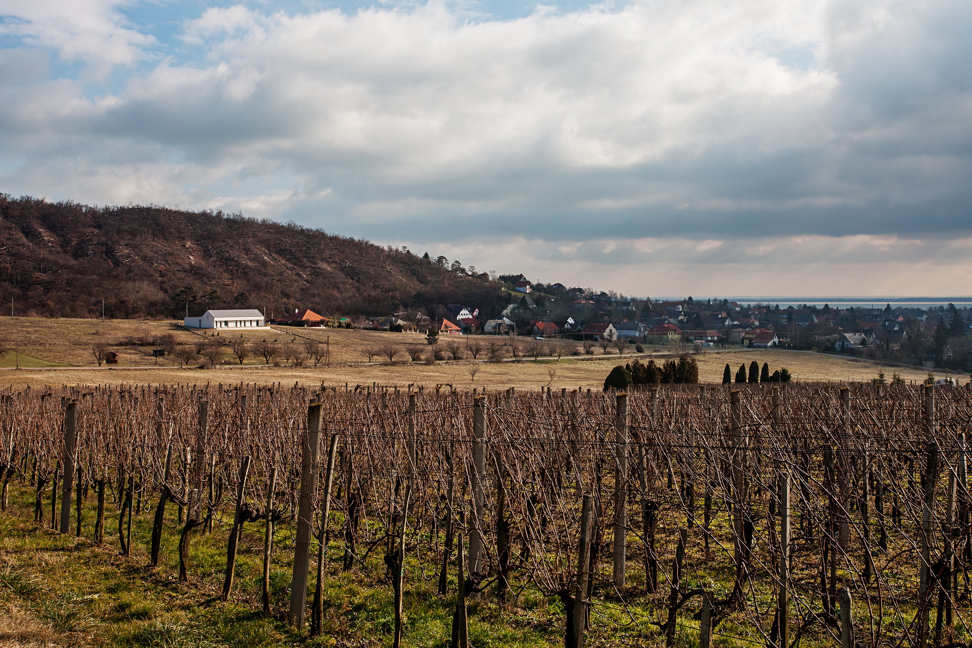 巴拉通格约克传统葡萄园区私人住宅设计-10
