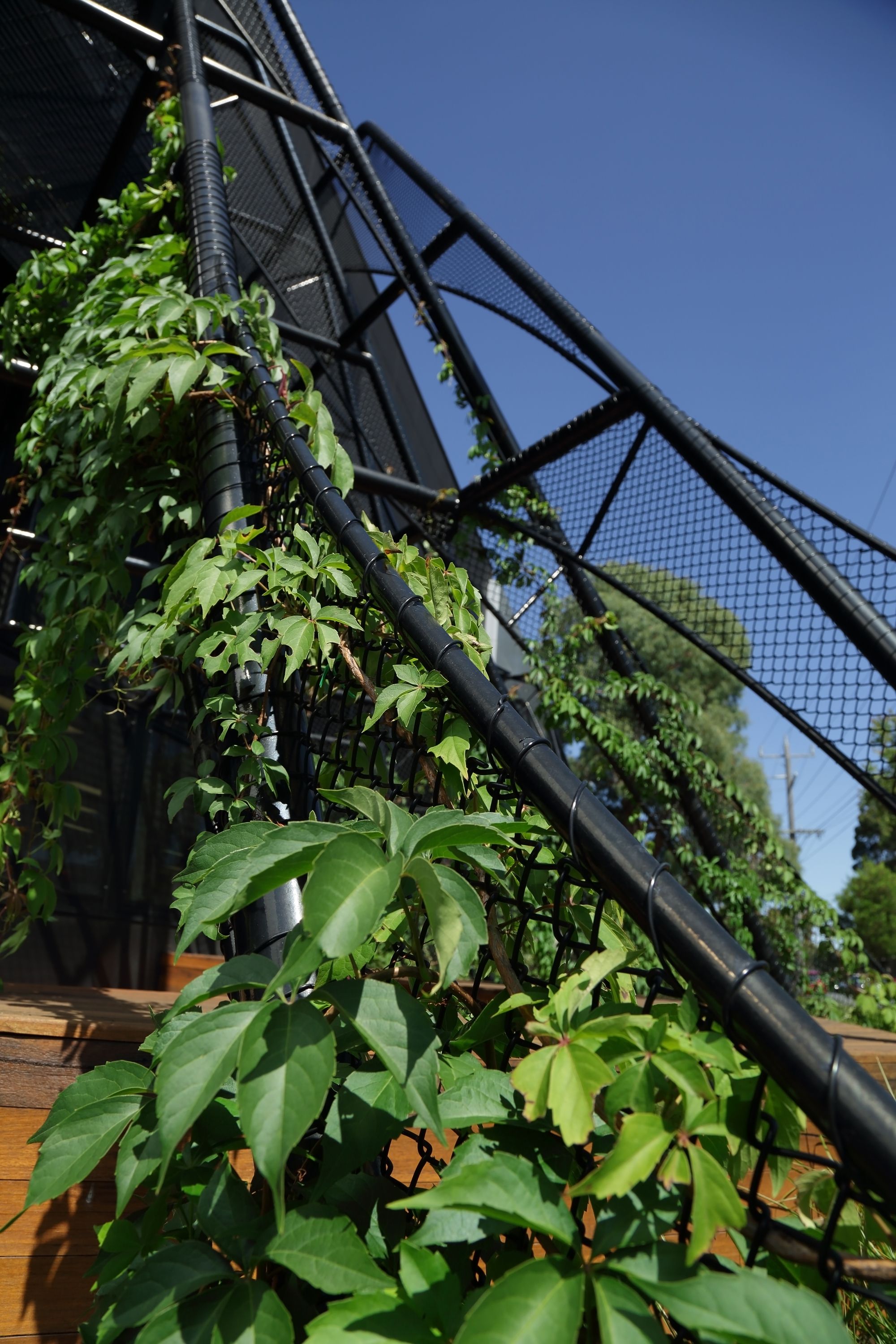 梅尔罗斯健康-29