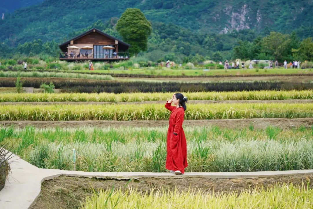 峨眉·高桥小镇丨中国眉山丨四川乐道景观设计有限公司-137