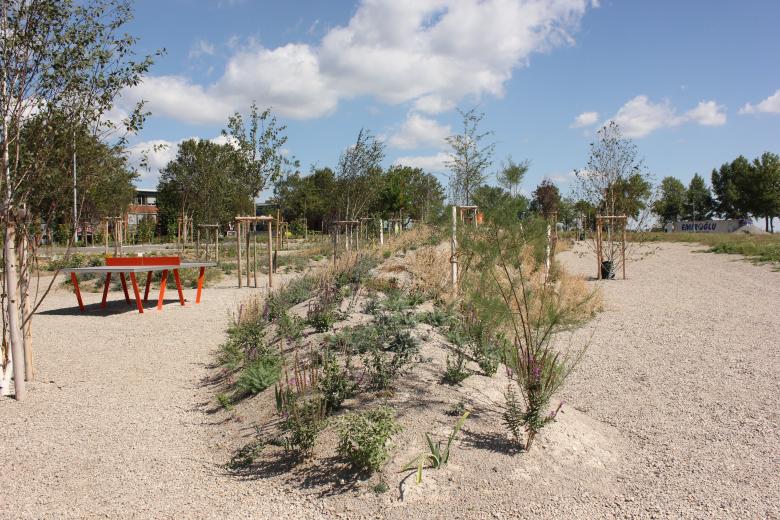 演替中的公园景观丨奥地利-4