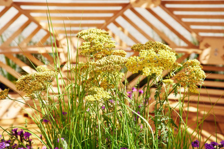 莫斯科艺术博物馆植物装饰讲台-40