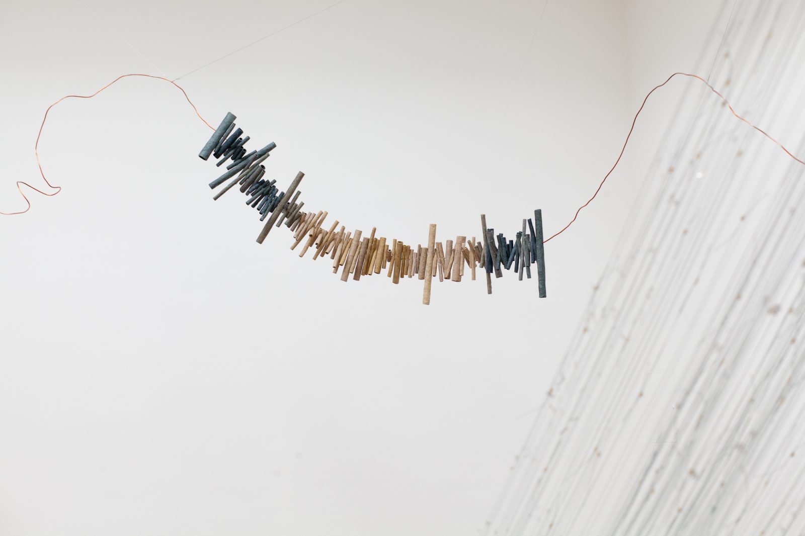 威尼斯波兰馆·CENTRALA“放大自然”展览丨法国尼斯-39