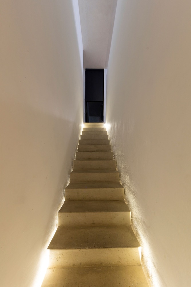 墨西哥城市北部的绿色办公室设计-38