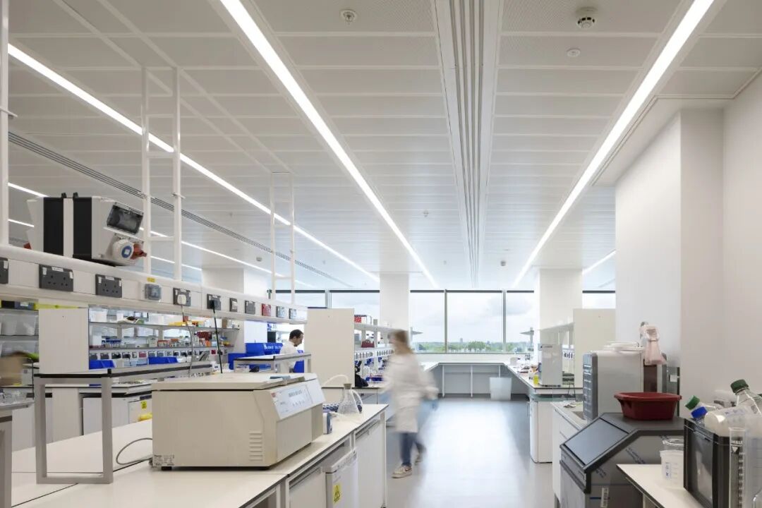 Christie Paterson癌症研究中心丨英国曼彻斯特丨BDP百殿建筑设计-41