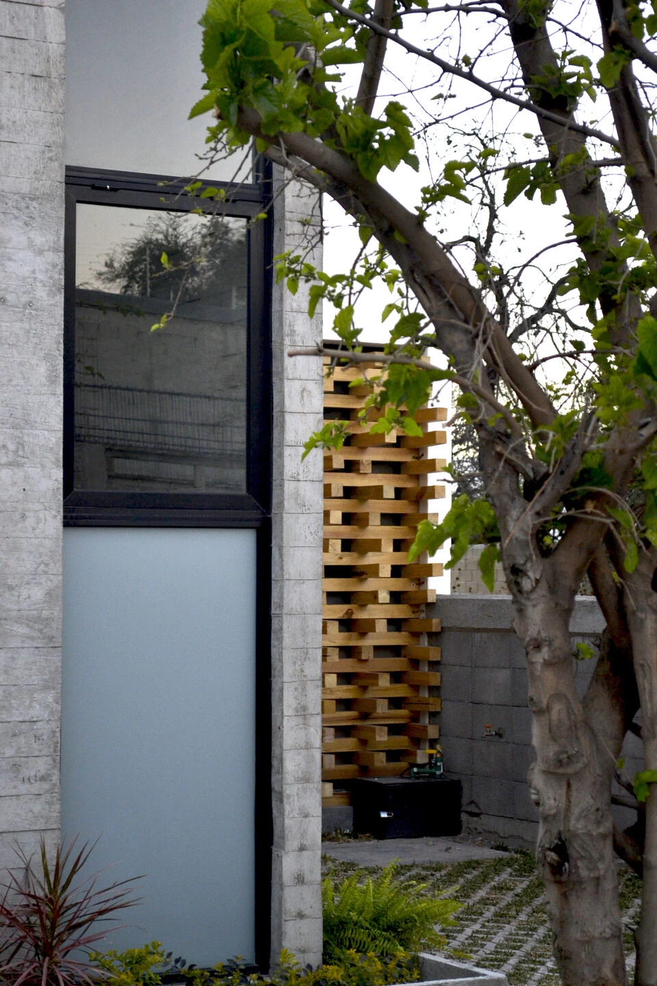 墨西哥 León 年轻夫妇的实用家居-15