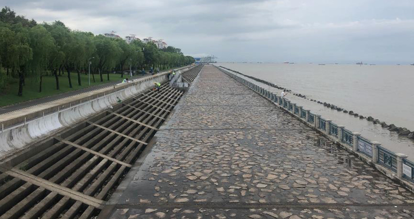 宝山滨江（一期）岸线的生态化与市民化转型丨中国上海丨大观景观设计-11