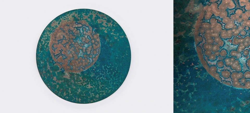 自然生长 · 罗黛诗的铜的生物性探索-32