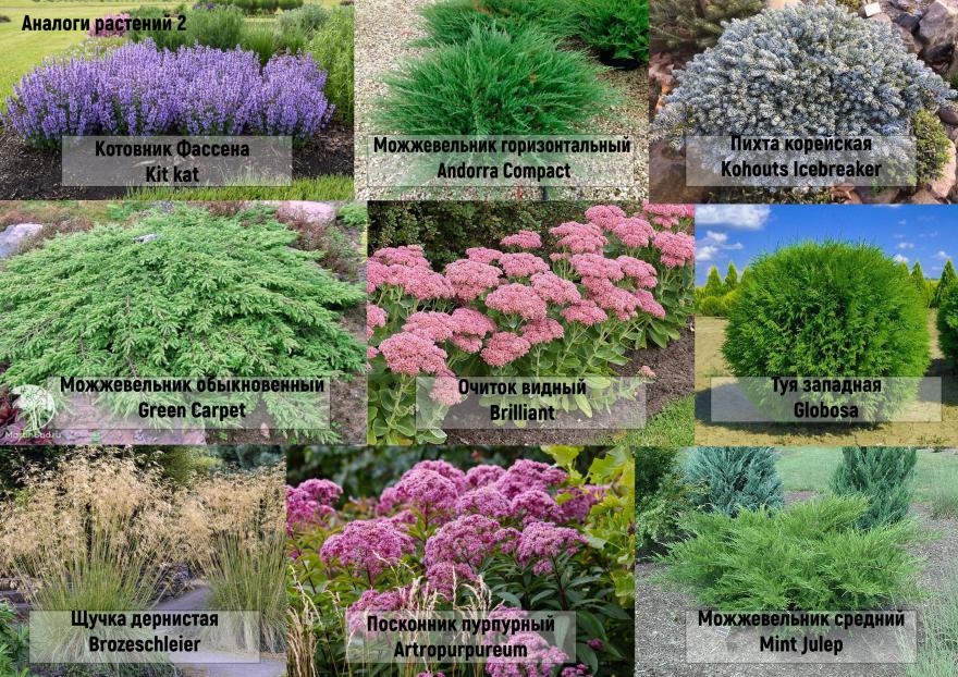 森林做客之地景观设计项目丨Коробейникова Татьяна(塔季扬娜·科罗列尼科娃)-26