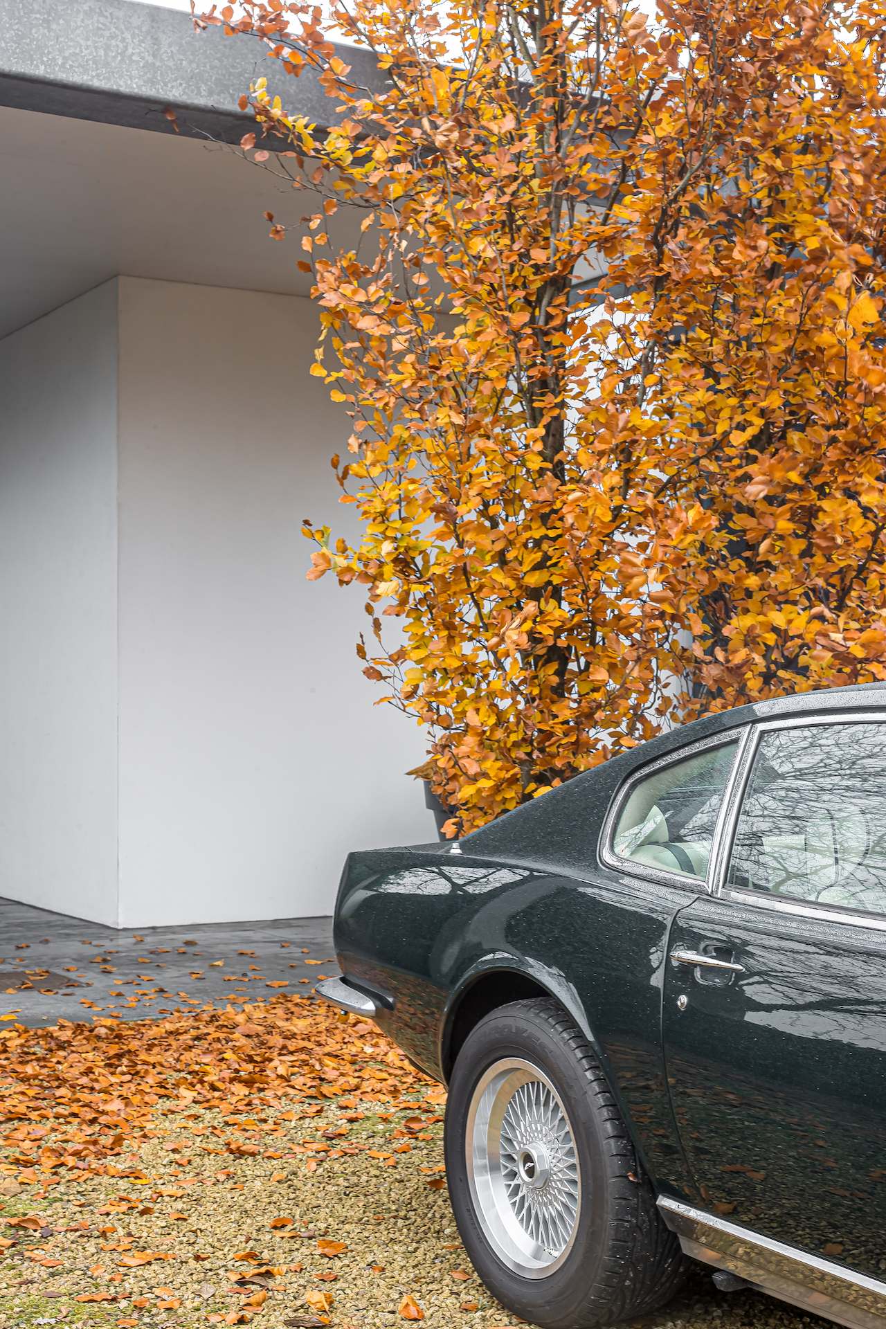 小长屋丨Netherlands丨Bob Manders-9