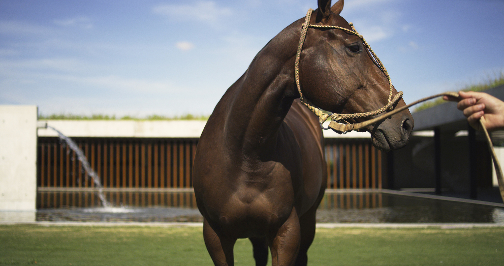 菲格拉斯马球马厩-31