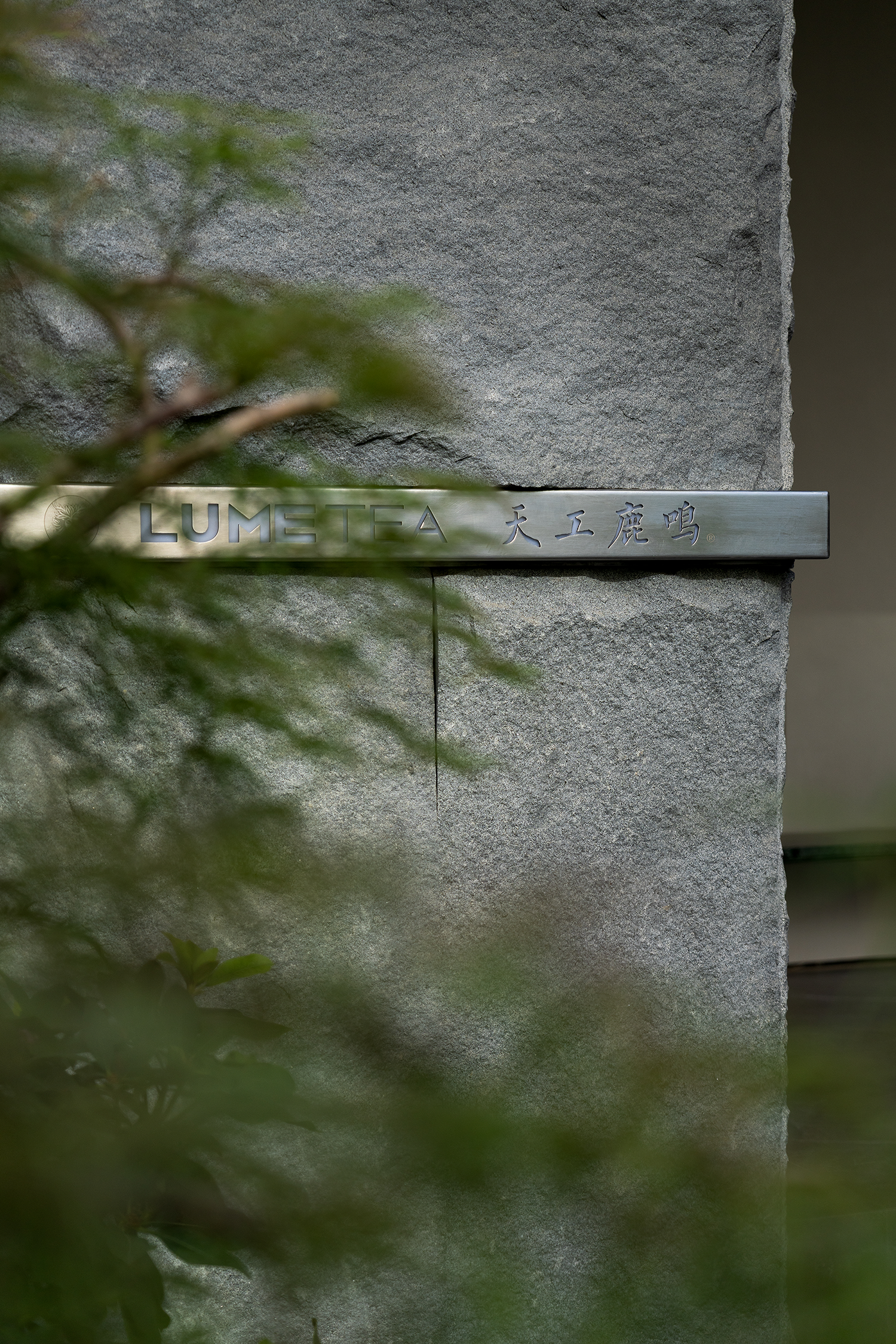 天工鹿鸣丨中国石家庄丨近境制作-11