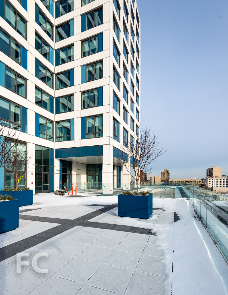 Journal Squared — FIELD CONDITION-14