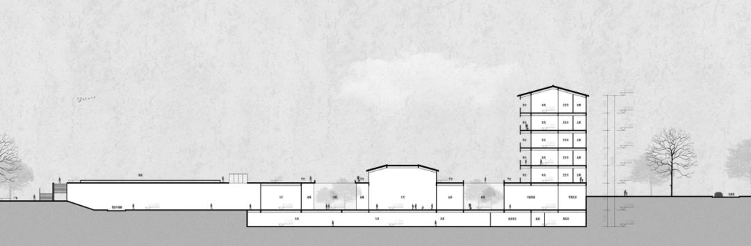 探秘龙游国际兰花博览园-62