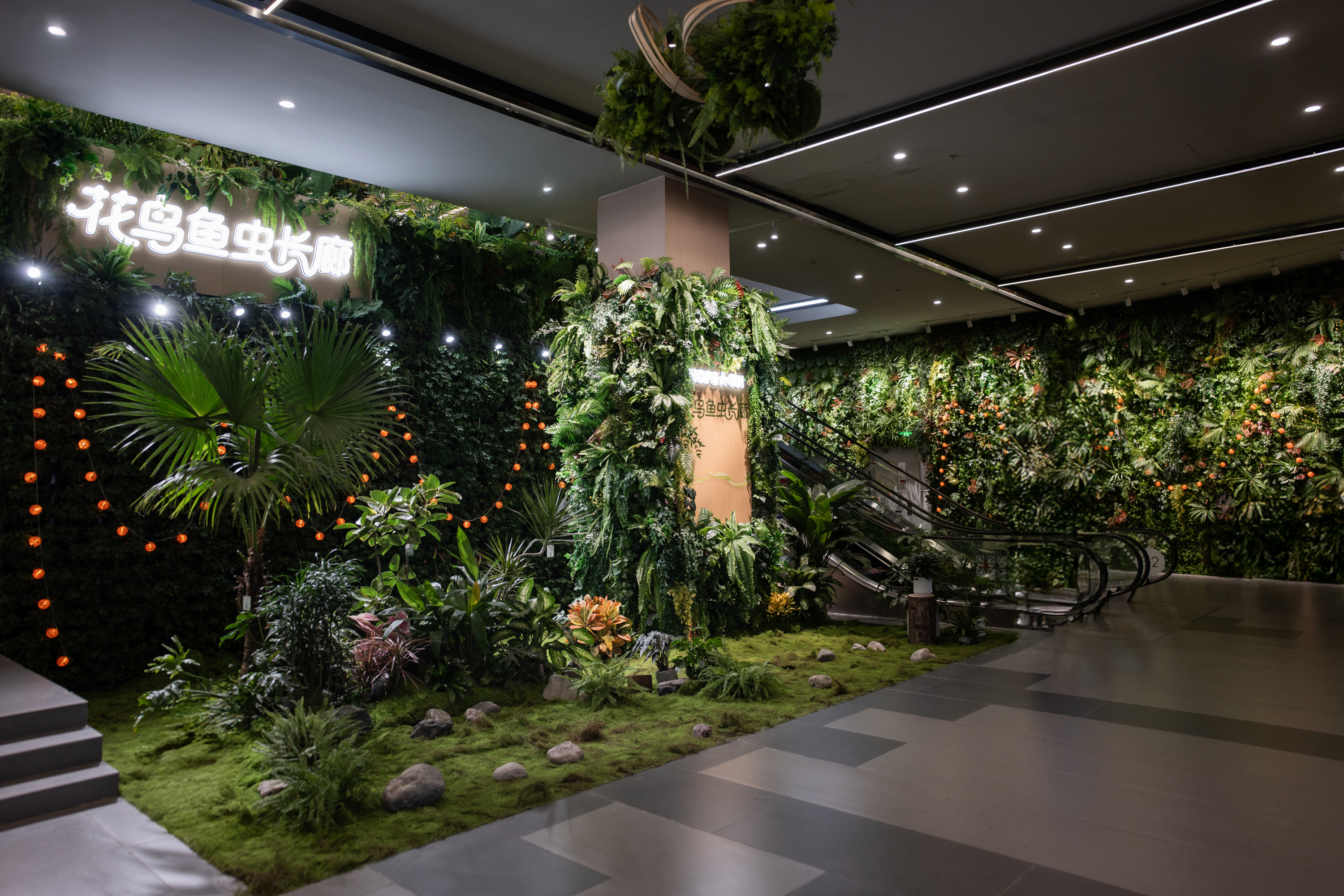 北京超极合生 迷失在花鸟鱼虫市场里的年轻人。-9