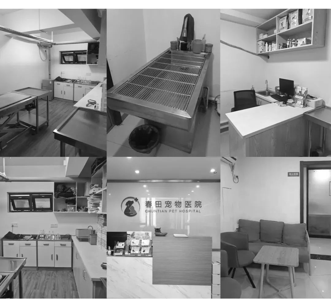 春田·宠物医院丨中国杭州丨舍近空间设计事务所-6