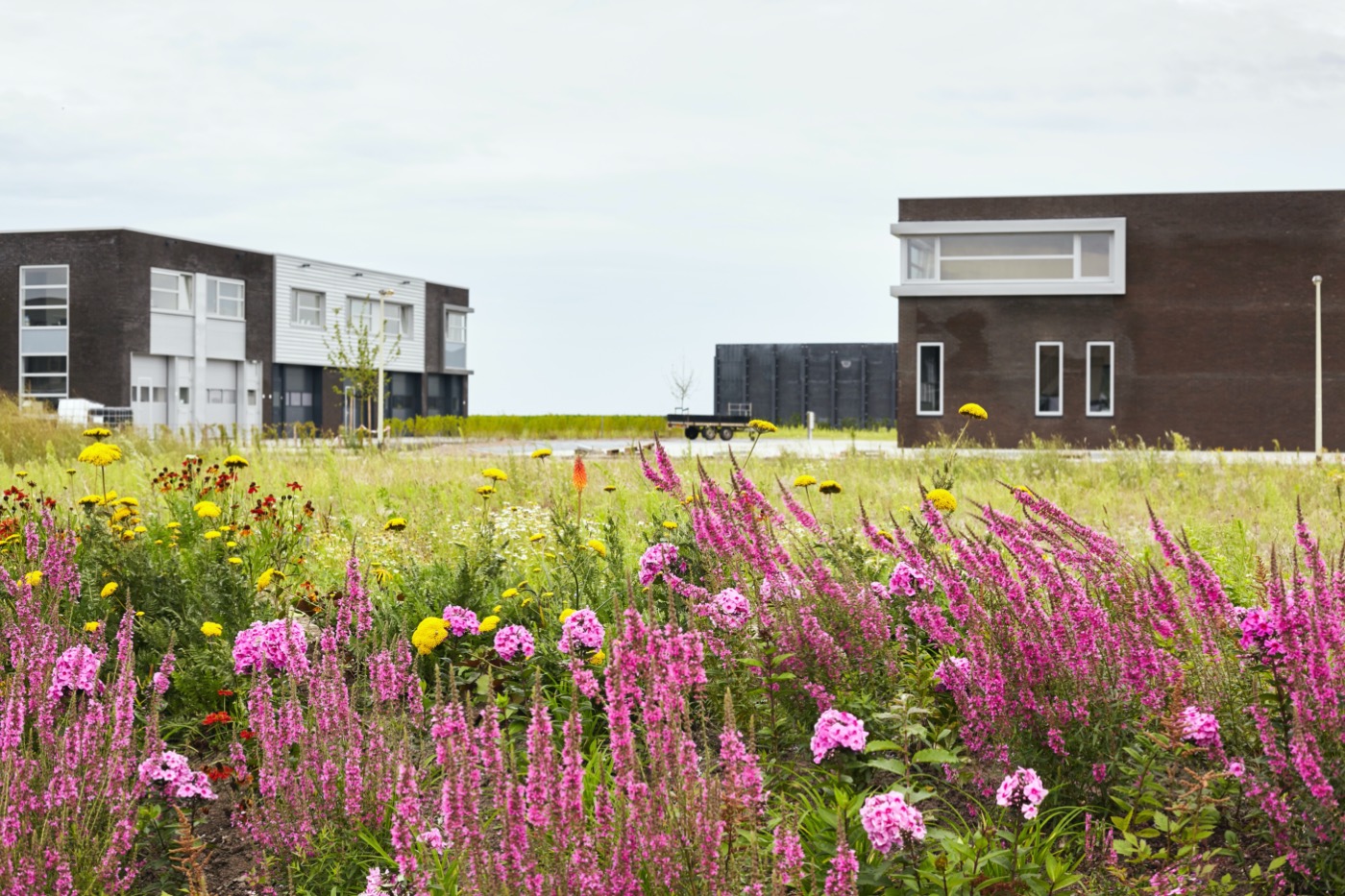 荷兰线性公园丨LOOSvanVLIET-21