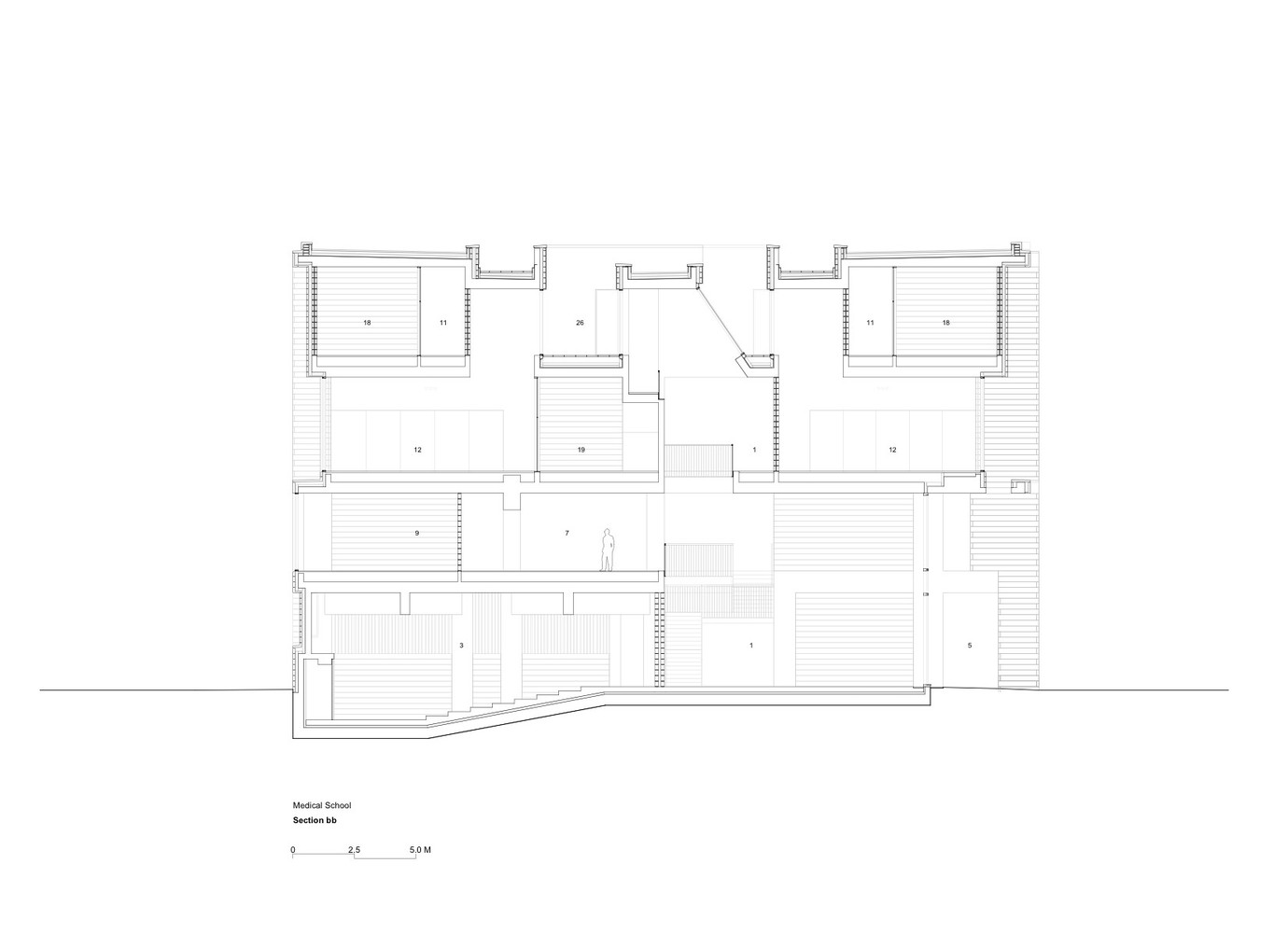 爱尔兰利默里克大学医学院-25