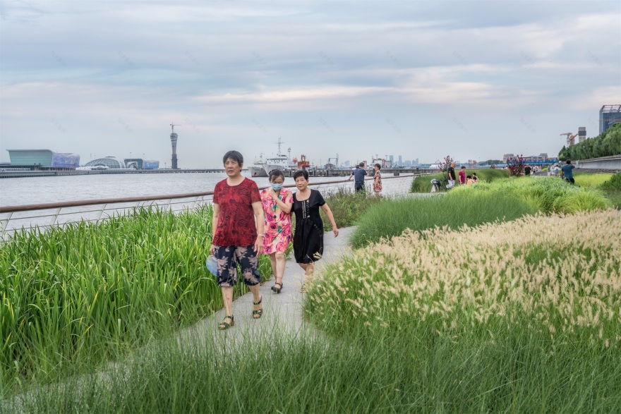 宝山滨江(一期)岸线的生态化与市民化转型-19