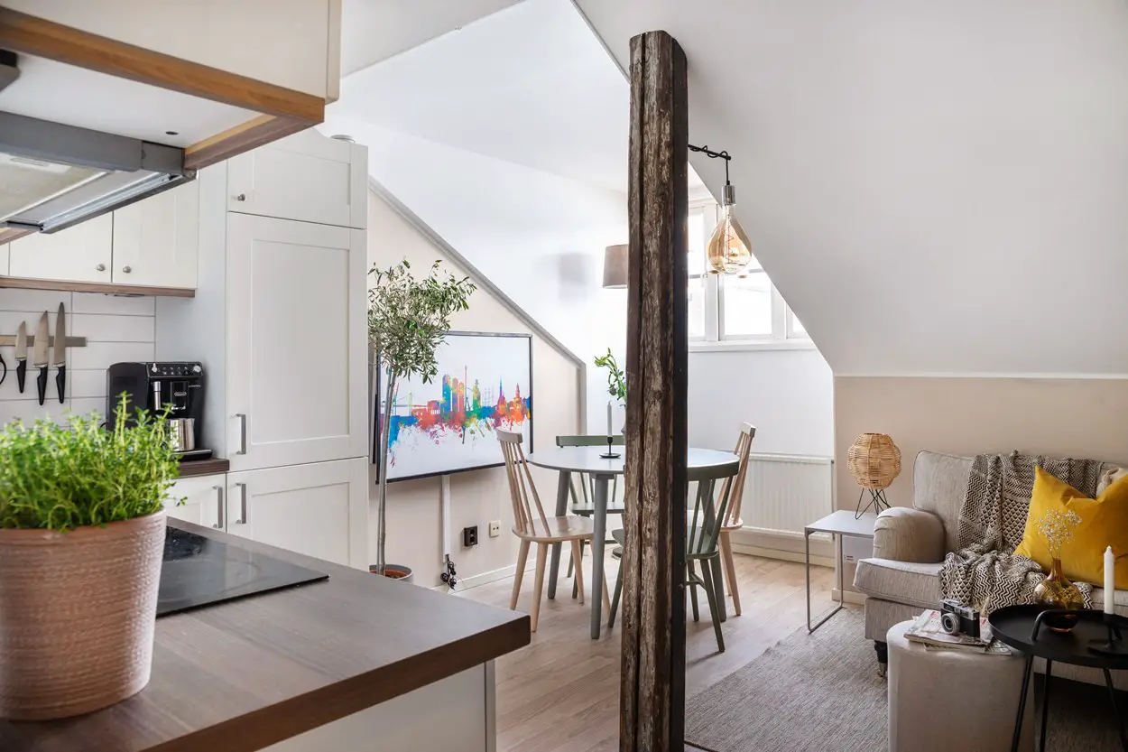 20m²瑞典小户型工作室，空间利用与装饰的完美结合-6