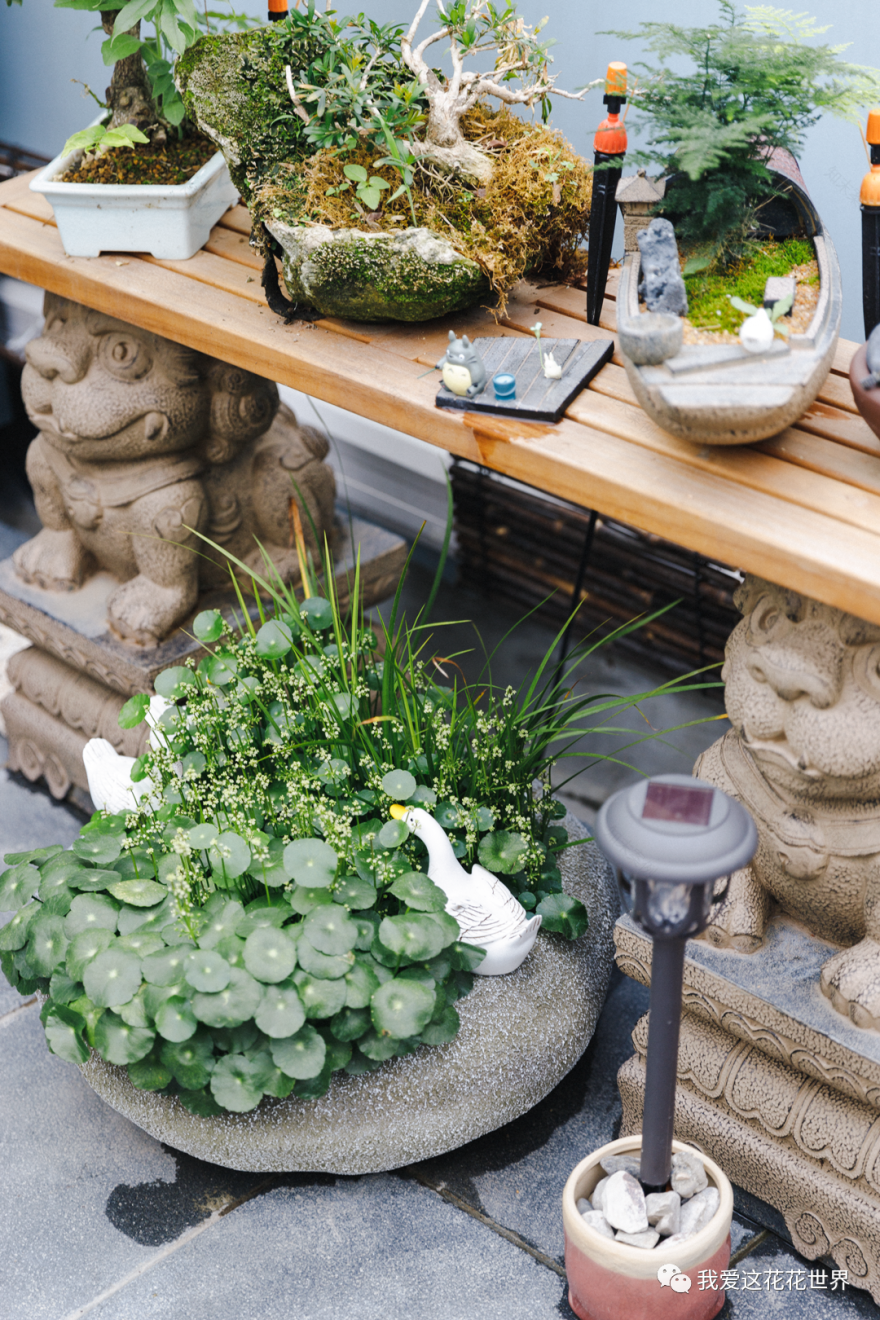 广州百年老宅改造丨中国广州丨设计师黄翔-9